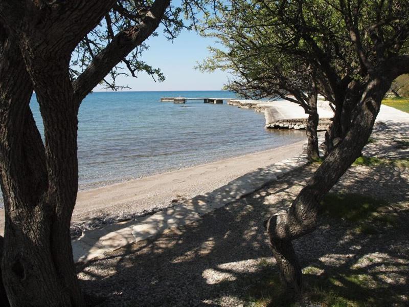 Apartments & Room Masa Starigrad Paklenica Rom bilde